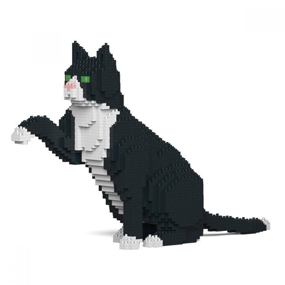 Jekca-Tuxedo-Cat_2