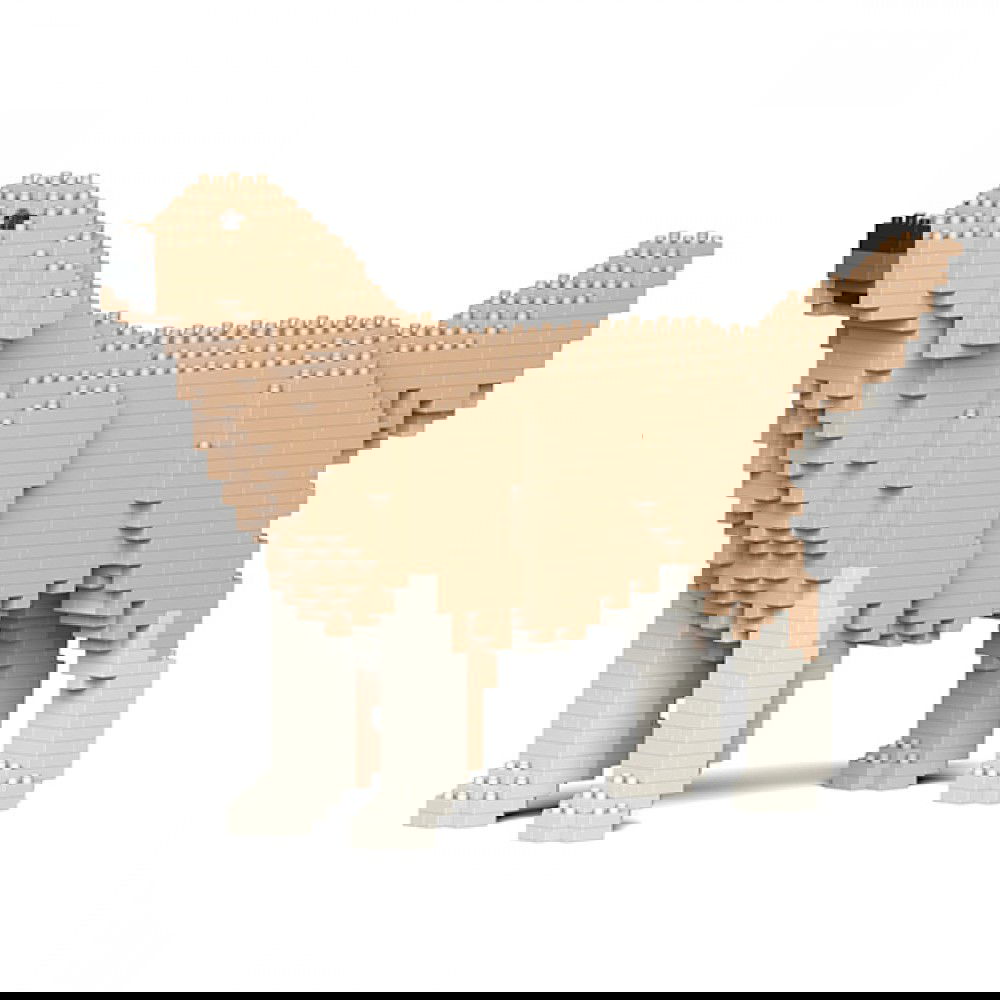 Jekca-Golden-Retriever_4