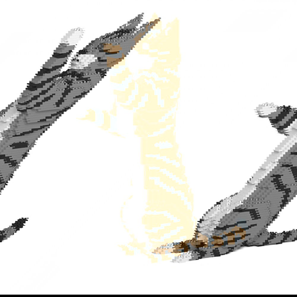 Jekca-Cat_brwon_3
