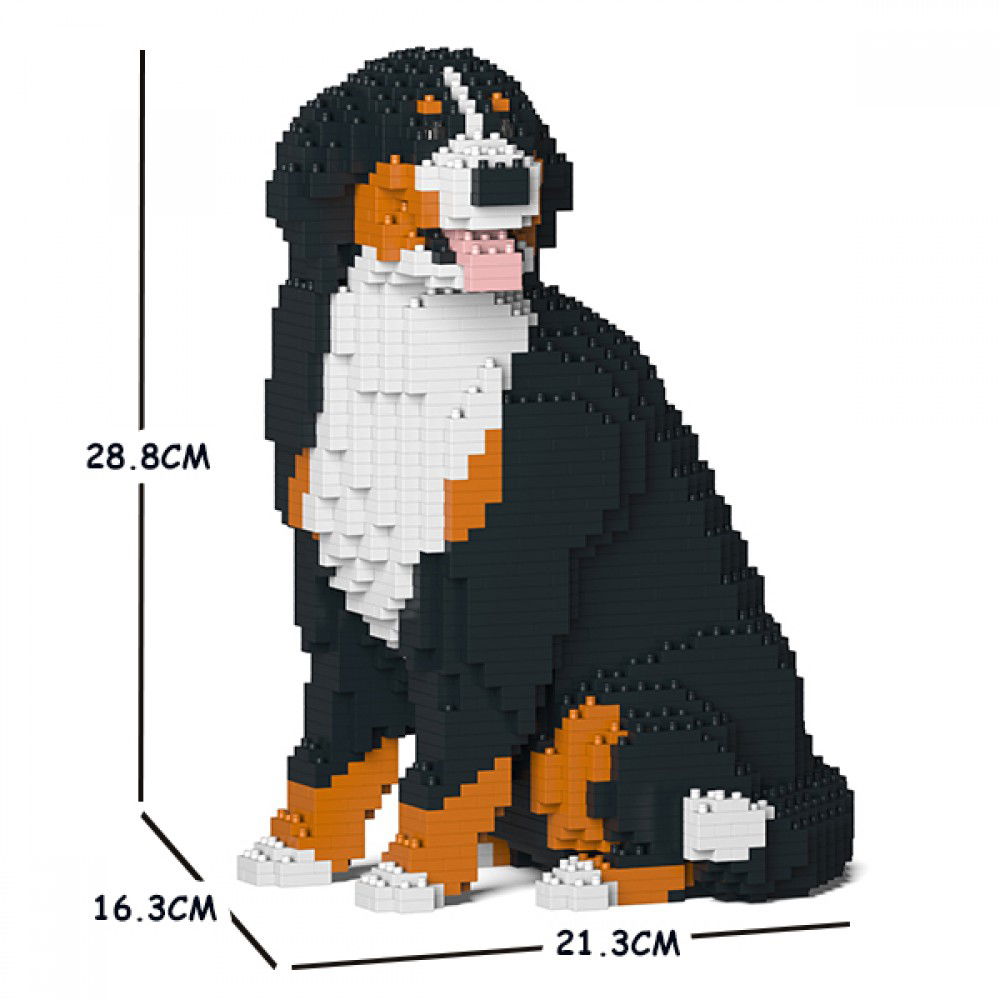 Jekca-Berner-Sennenhund_6