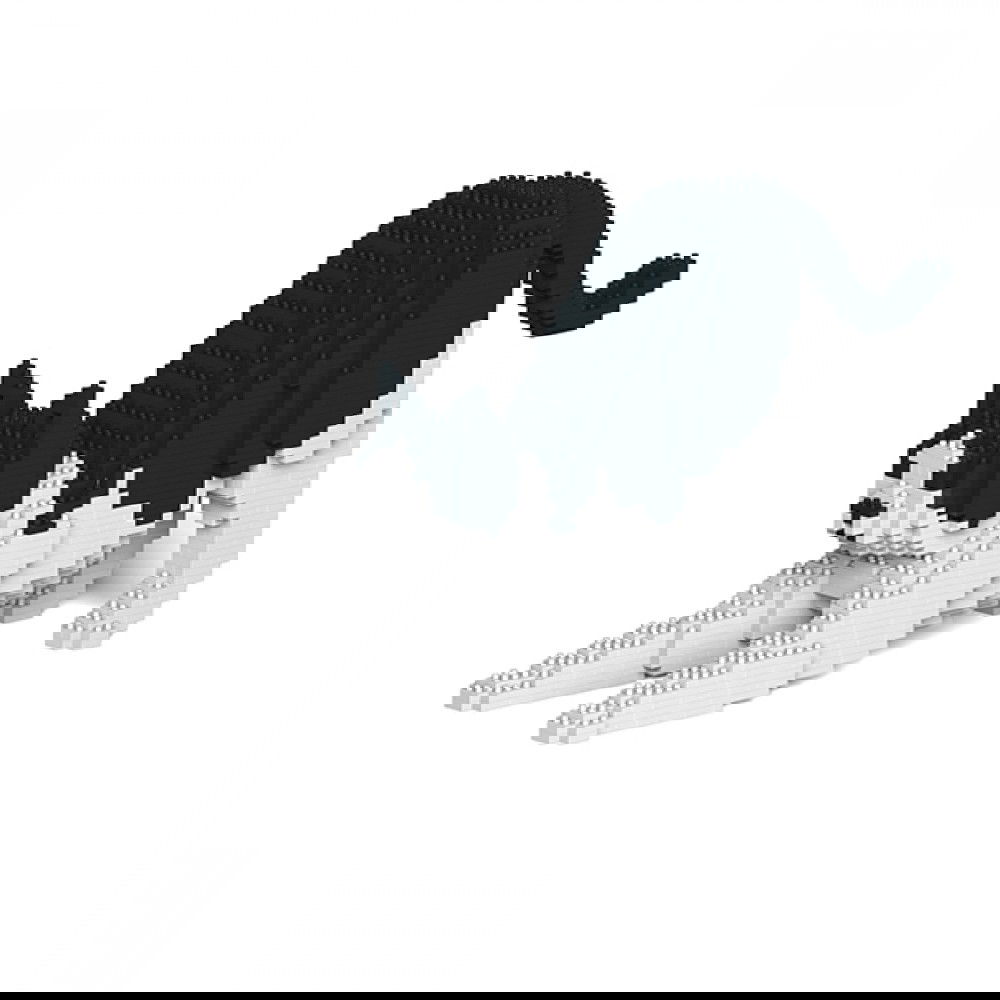 Jekca-Cat-black-white_1