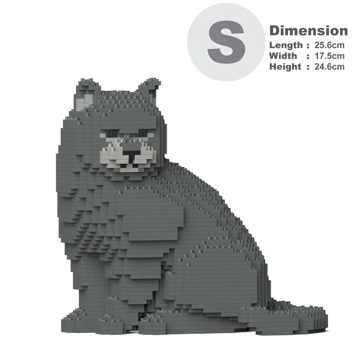 ST19BSH01-M01