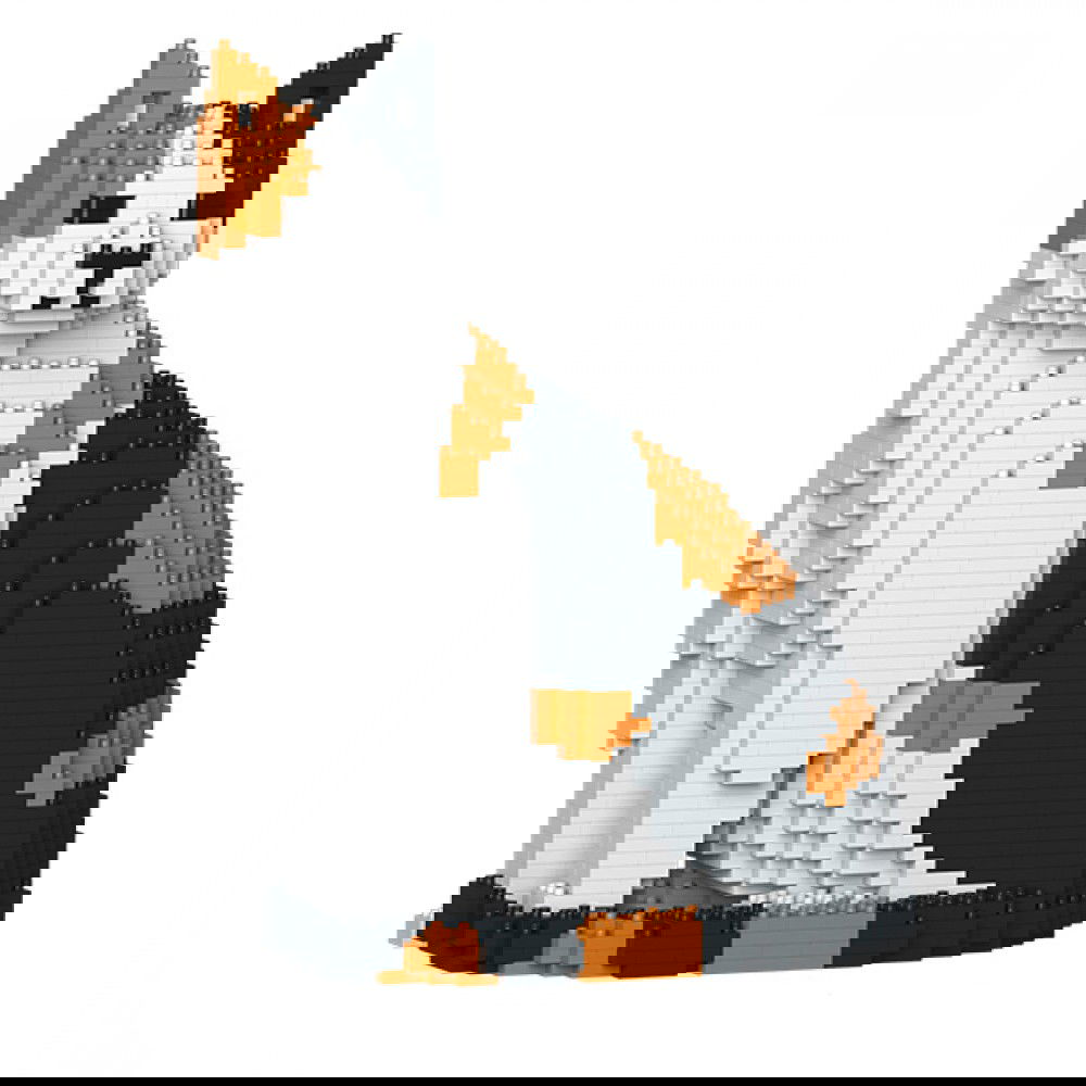 Jekca-Cat_colour_sitting_1