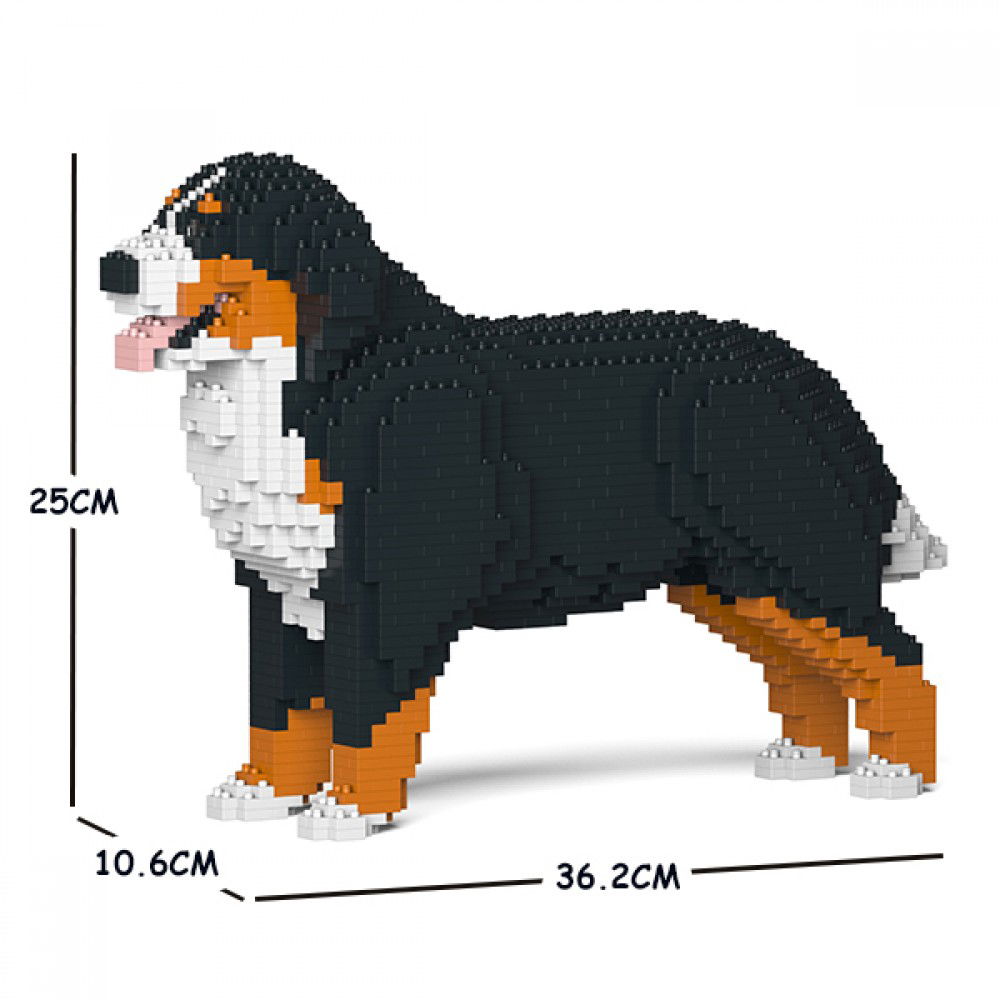 Jekca-Berner-Sennenhund