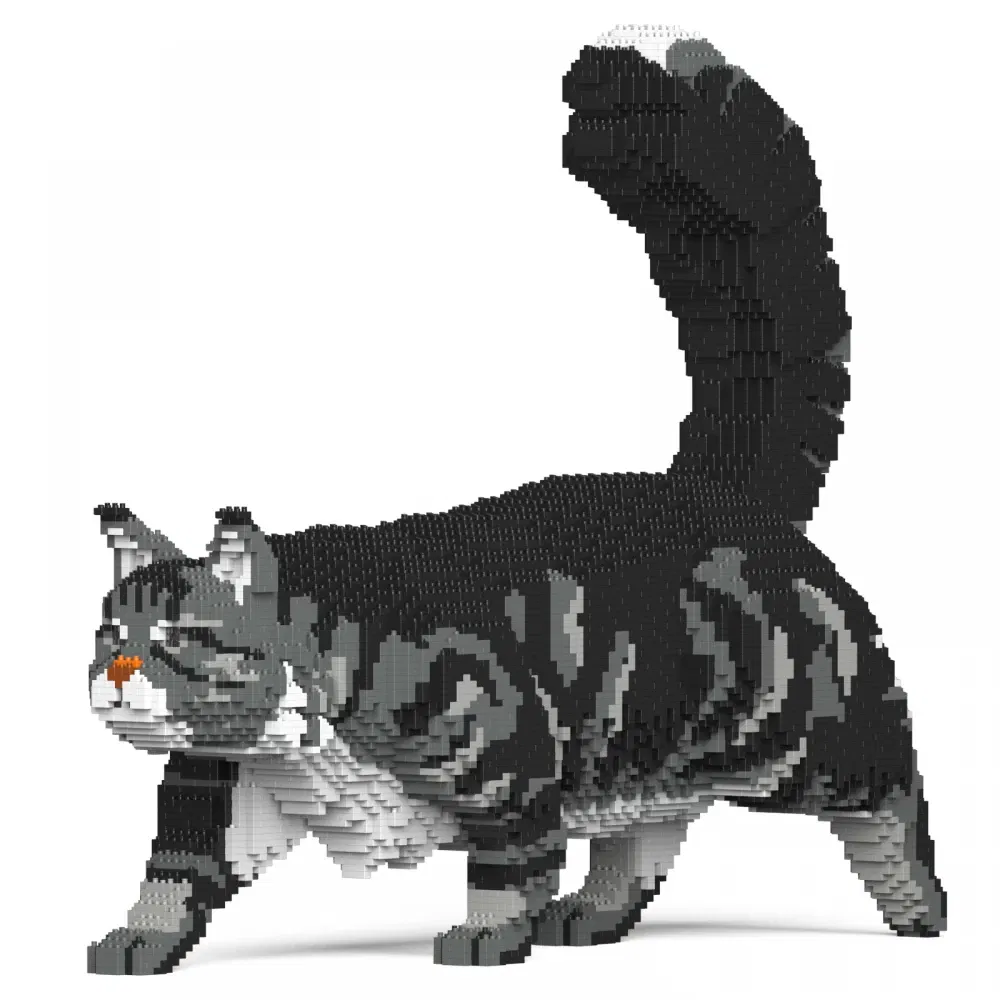 Jekca-Maine-Coon-Katze_ST19MCC02-M02_1
