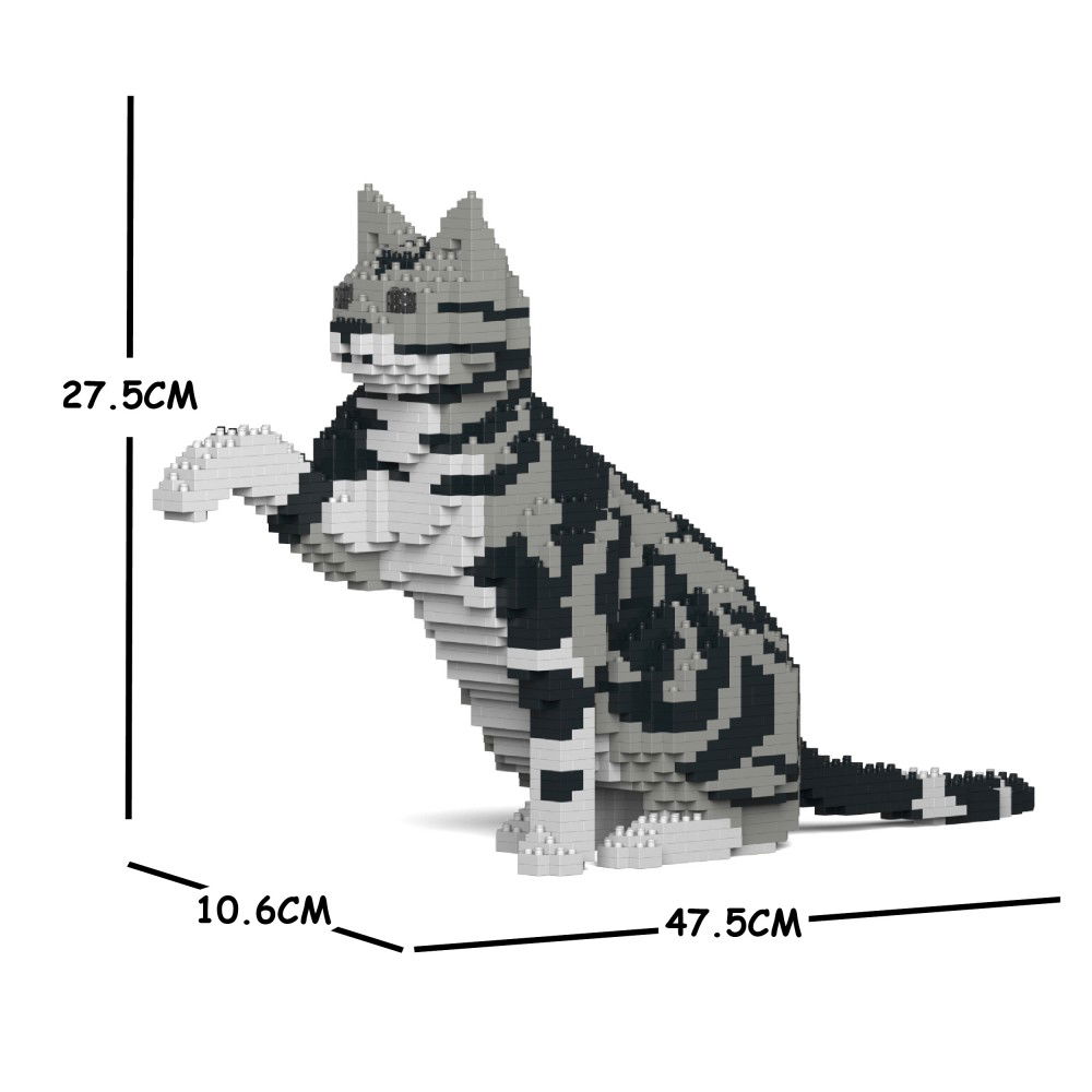 Jekca-American-Shorthair-Cat
