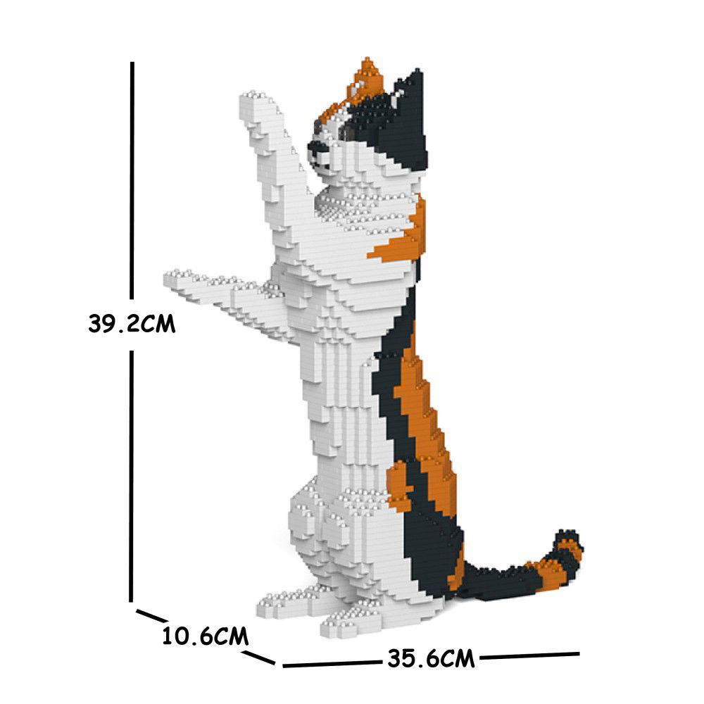 Cat-16S-M01-Size-1000x1000-1GtrKdVNquyhZ3