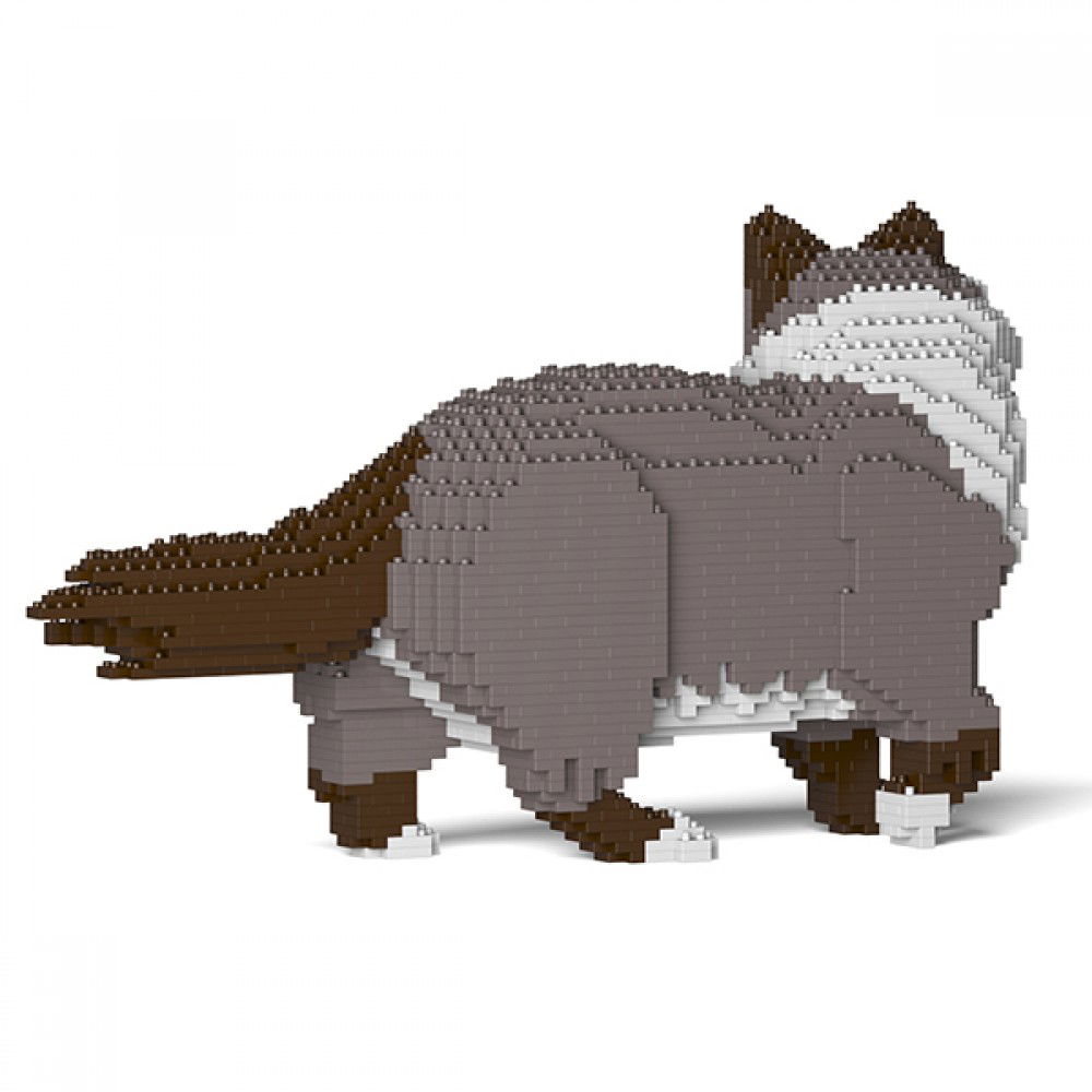 Jekca-Ragdoll-Cat_3