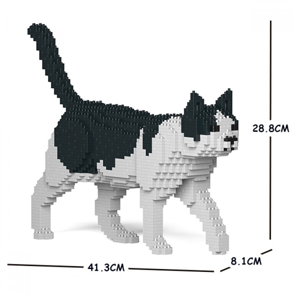 cat11sm02_1d-1-1000x1000