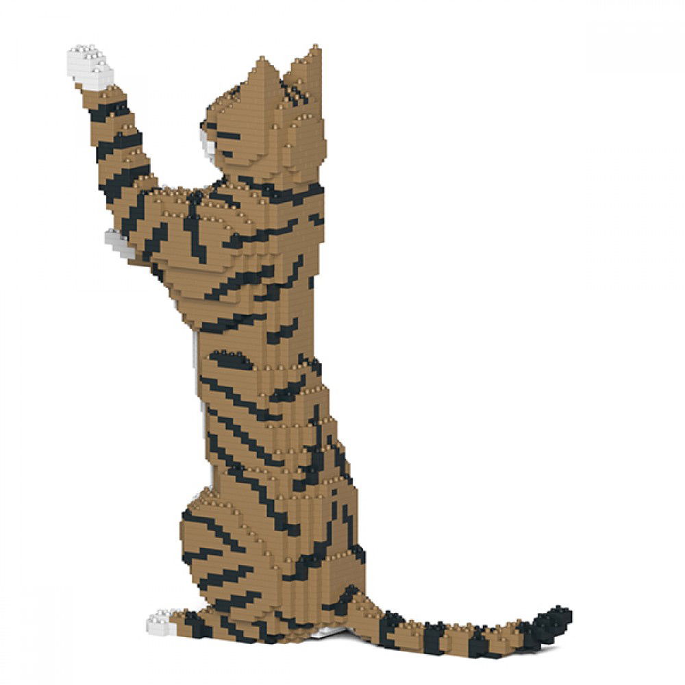 Jekca-Cat_brwon_2