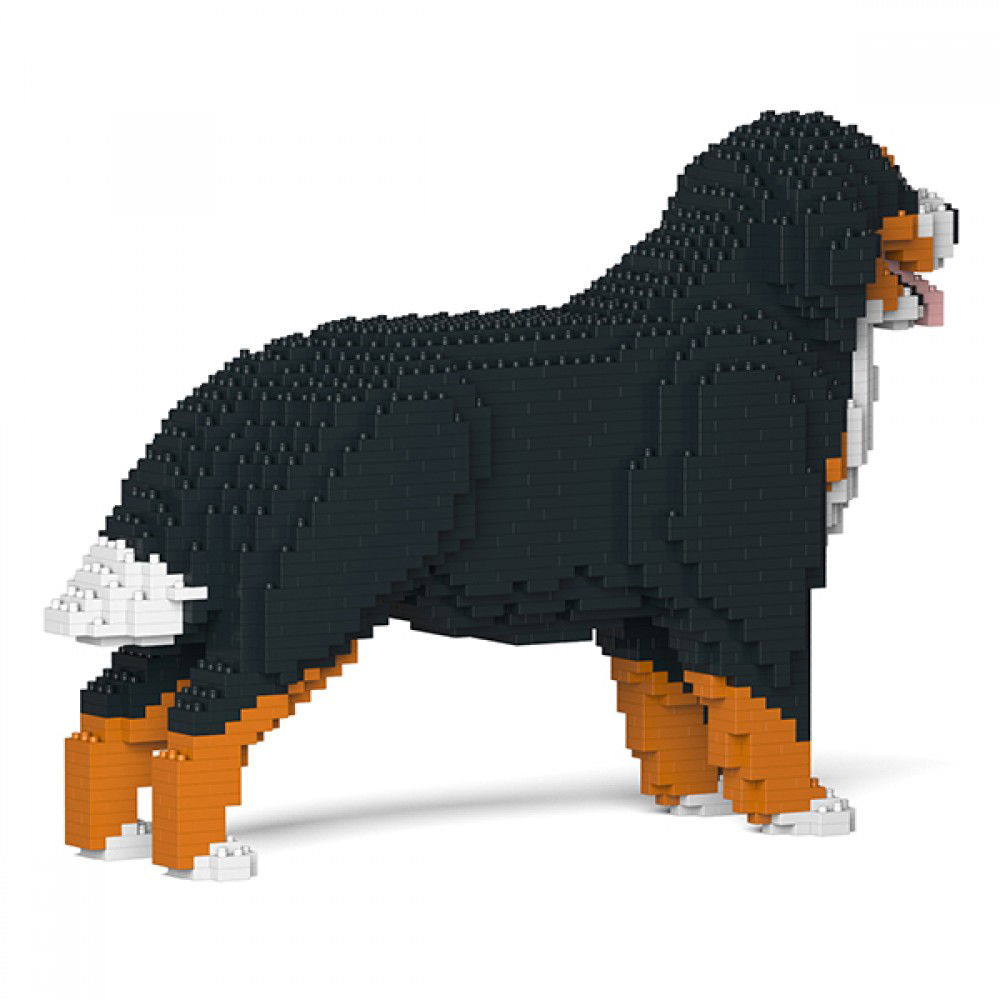 Jekca-Berner-Sennenhund_1
