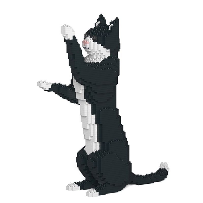 Jekca_Tuxedo_Cat_05S-600x600-1