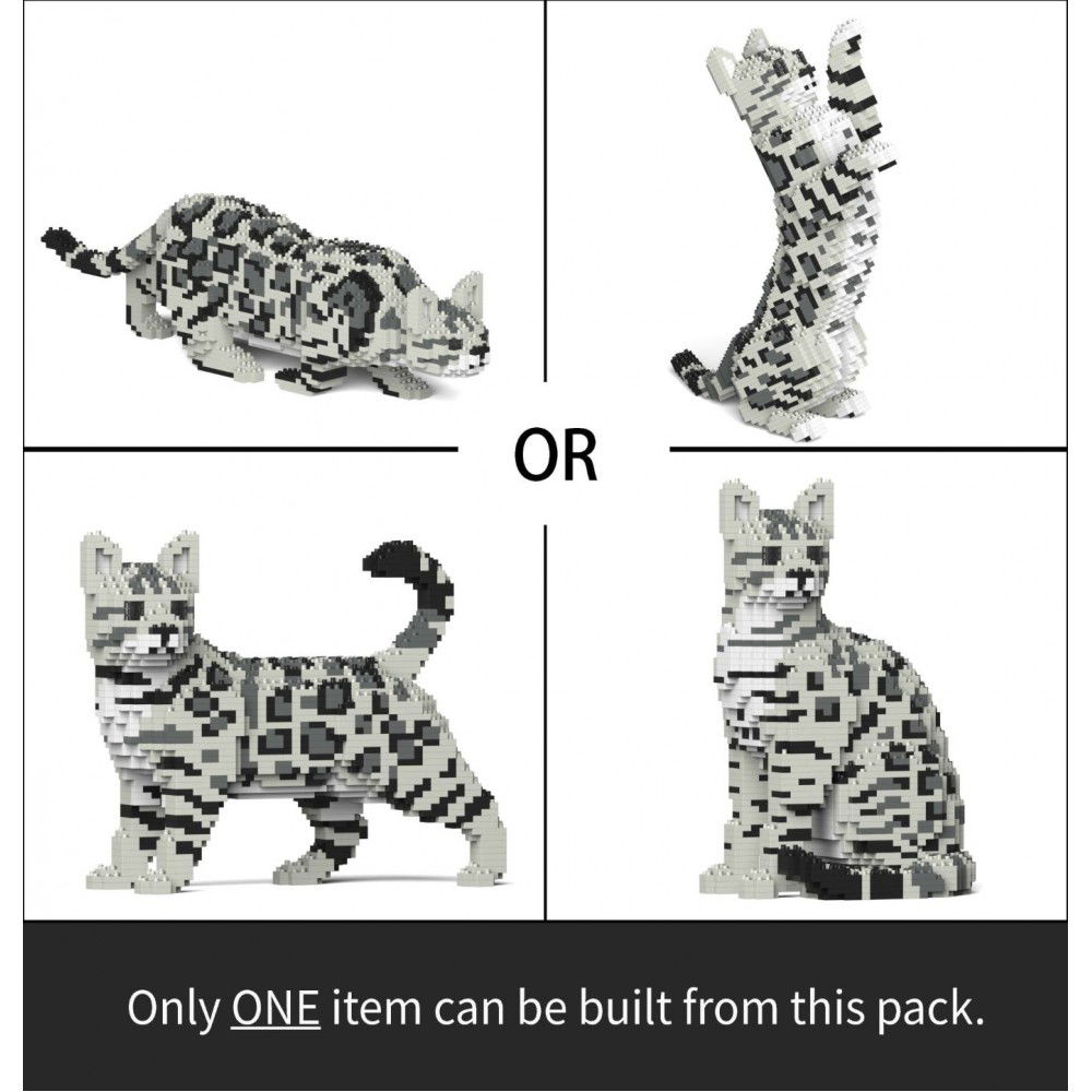 Jekca-Bengal-Cat-4-in-1_1