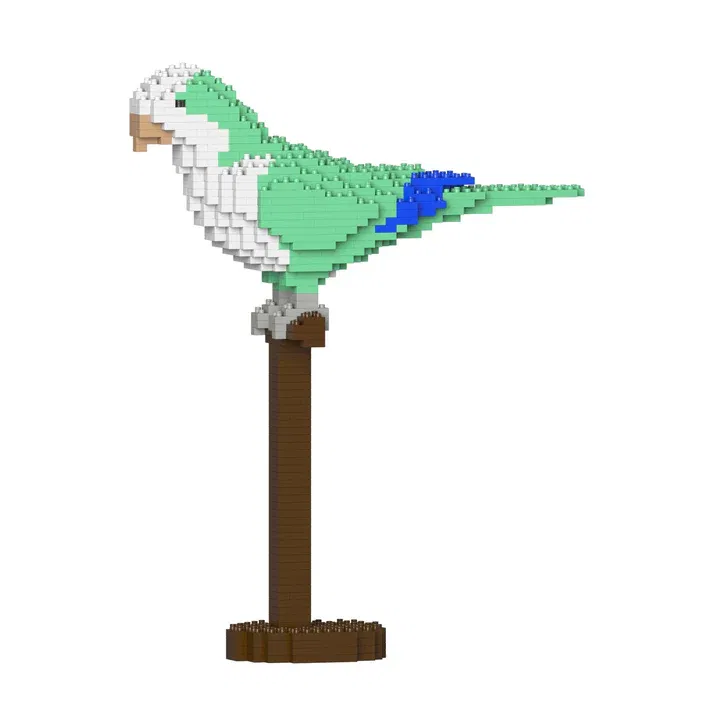 ST19MA21M01_s1