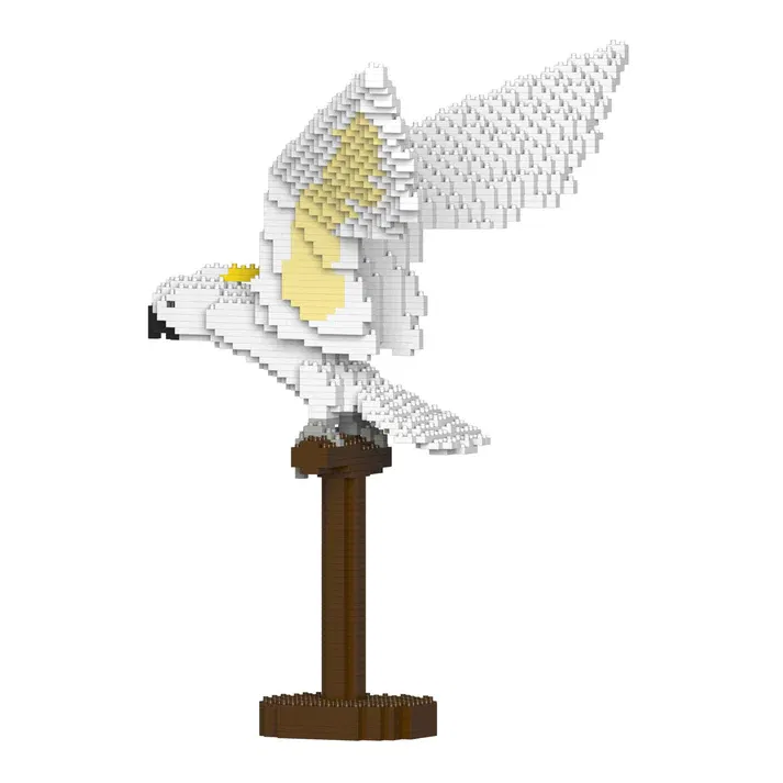 ST19MA16_sright