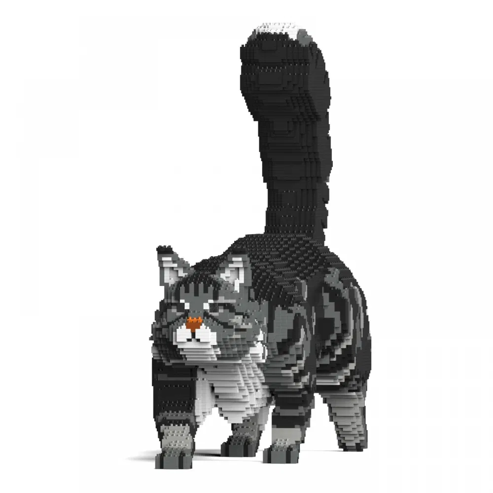 Jekca-Maine-Coon-Katze_ST19MCC02-M02_3