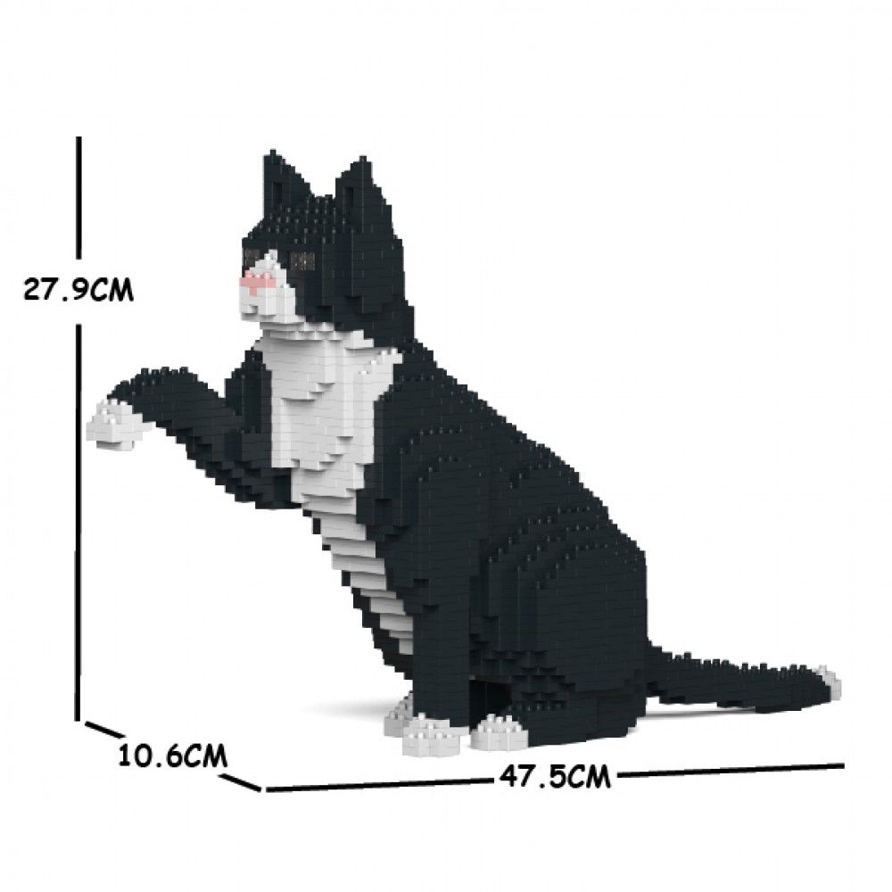 Jekca-Tuxedo-Cat