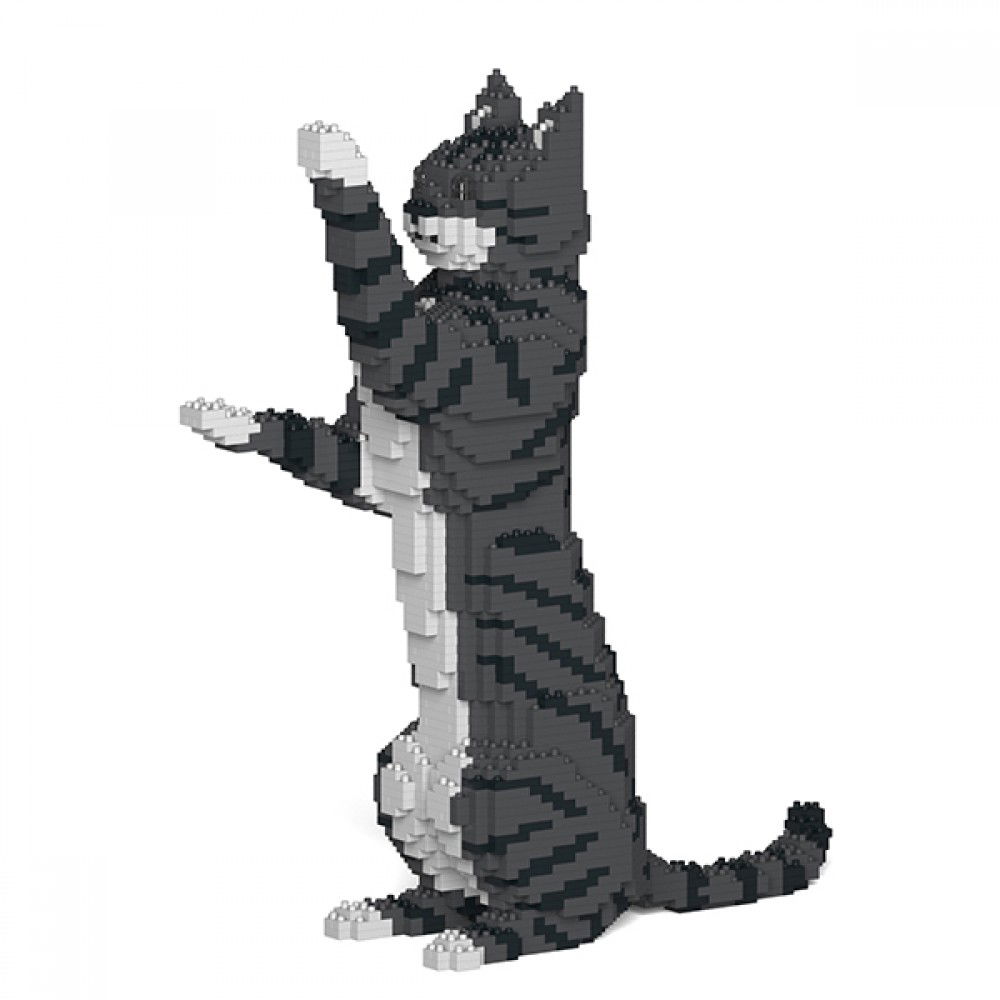Jekca-Cat-standing_1