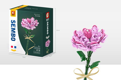 Sembo - Blume Nelke