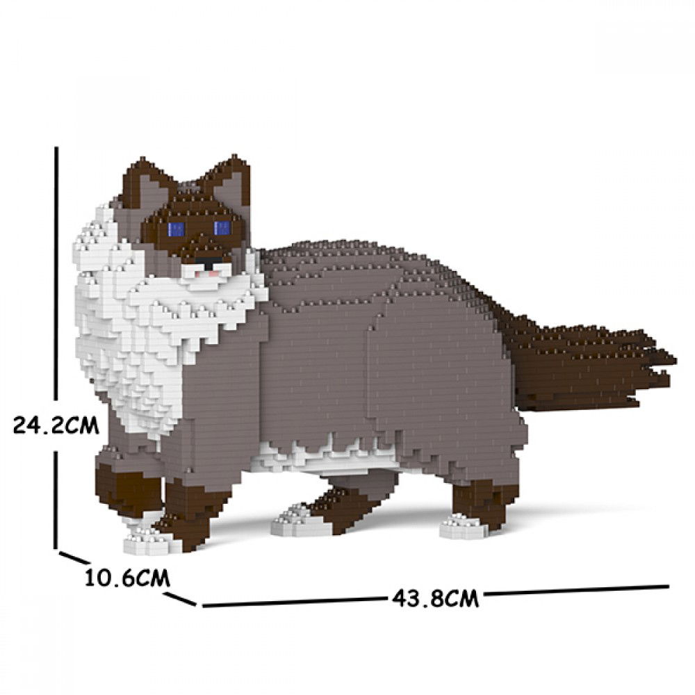 Jekca-Ragdoll-Cat