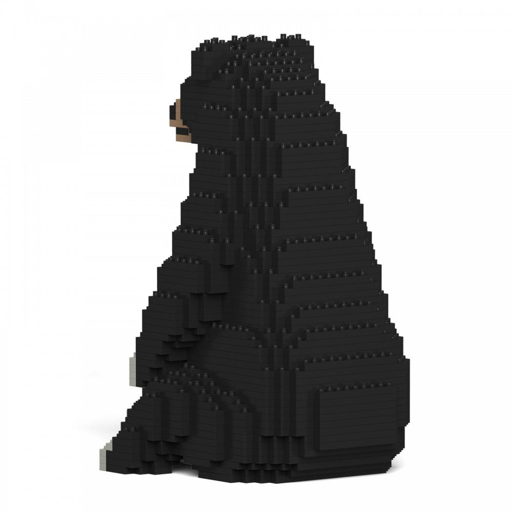 ST19ML50-1600-3-1000x10005uQZyvlKu3sBO
