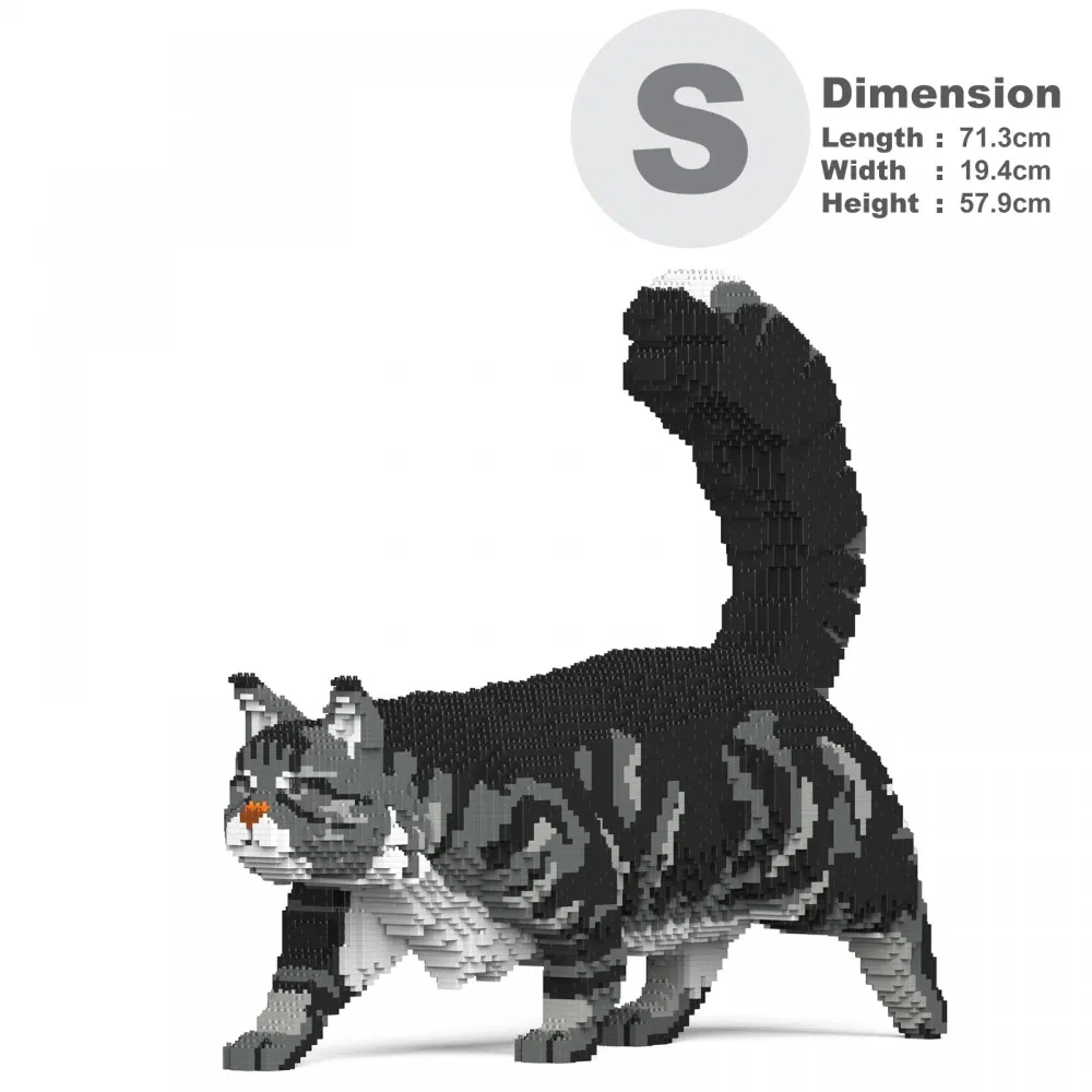Jekca-Maine-Coon-Katze_ST19MCC02-M02