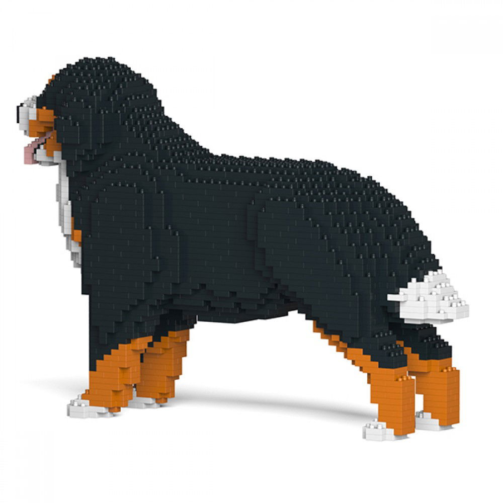 Jekca-Berner-Sennenhund_2
