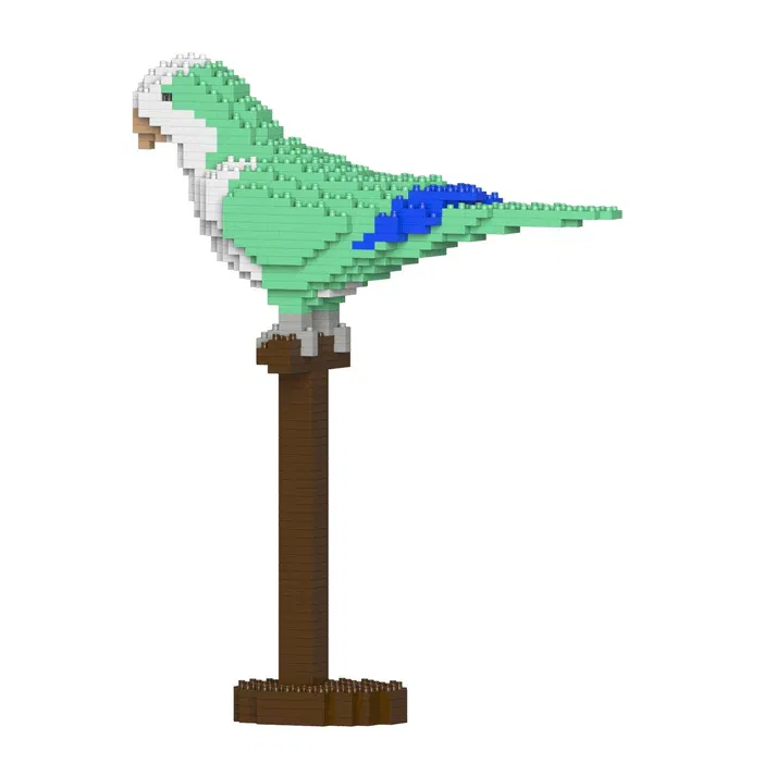 ST19MA21M01_sright