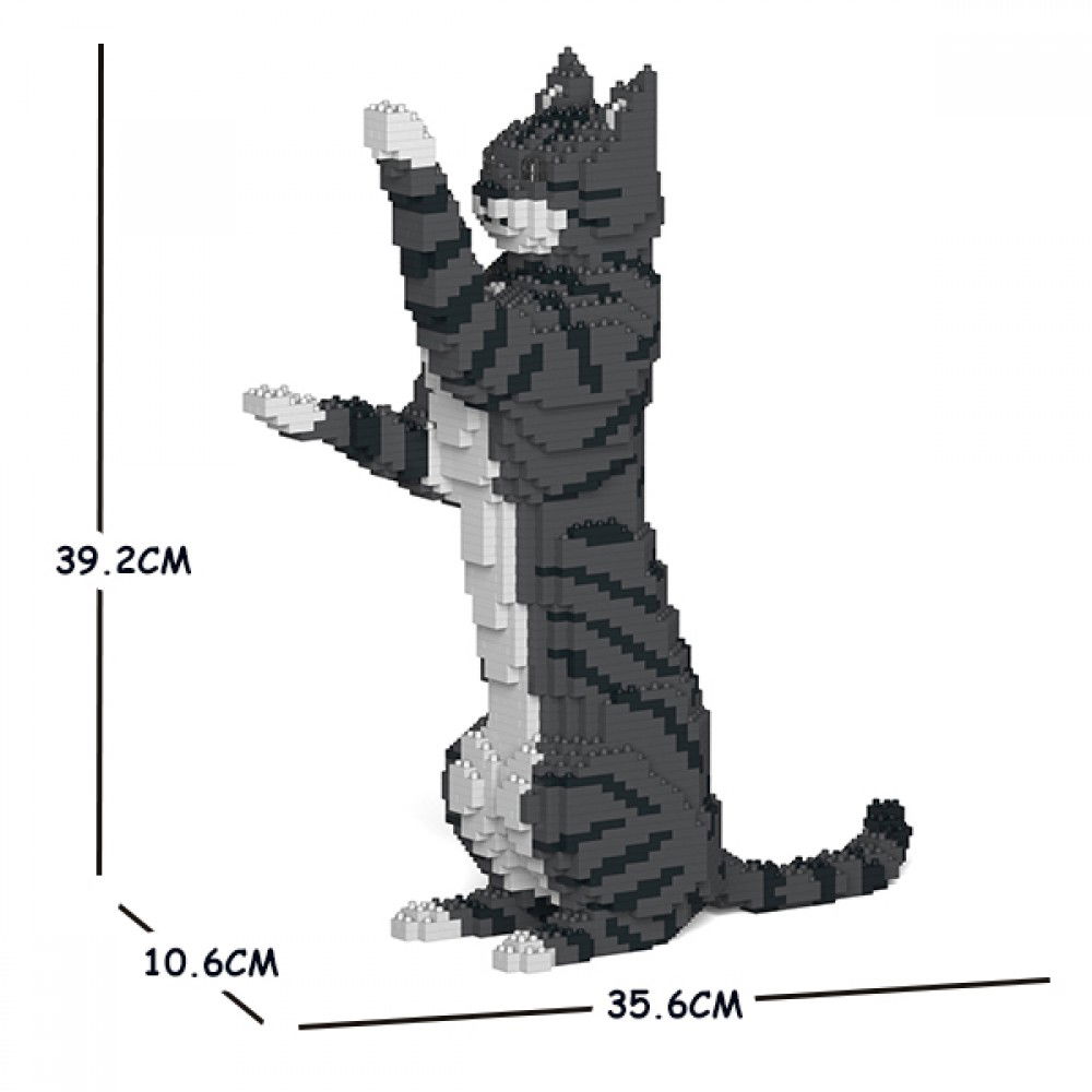 Jekca-Cat-standing