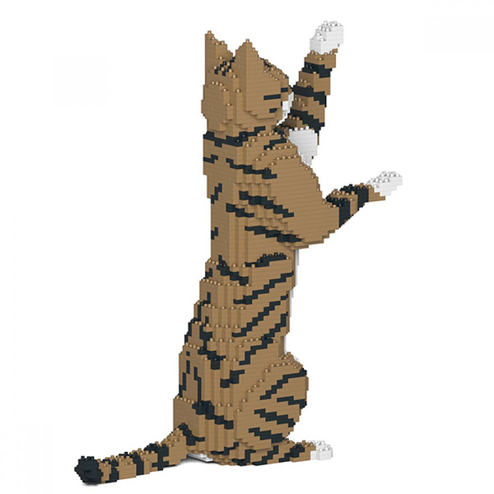 Jekca-Cat_brwon_1