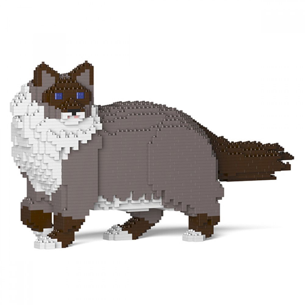 Jekca-Ragdoll-Cat_1